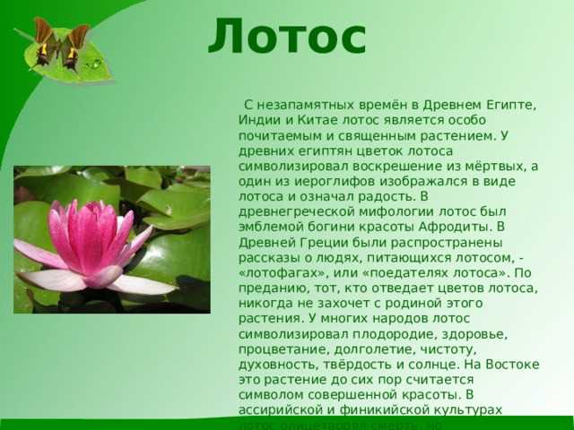 Проклятие