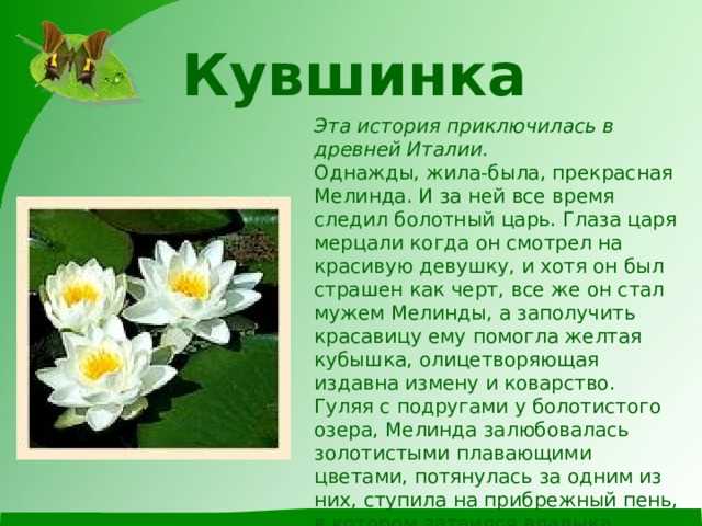 Практика