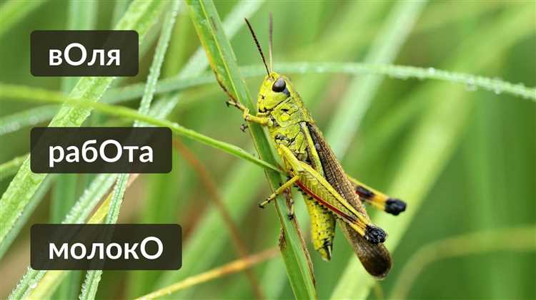 Сравнение
