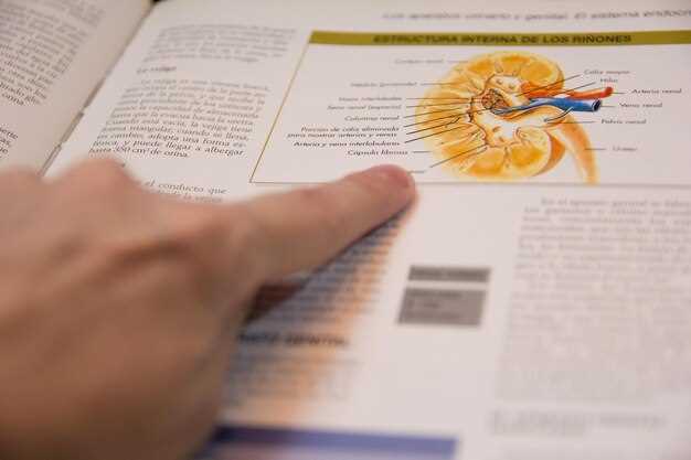 Часть речи: определение и признаки