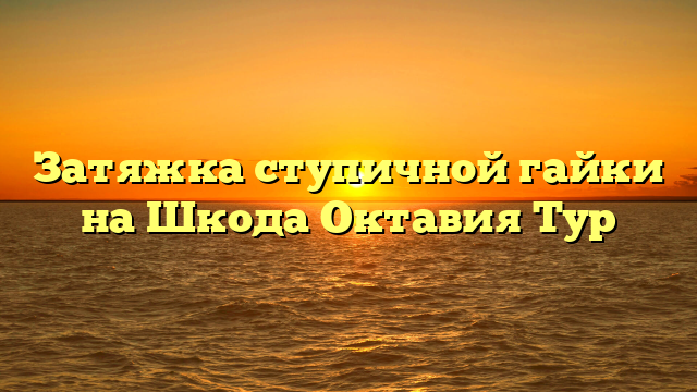 Затяжка ступичной гайки на Шкода Октавия Тур