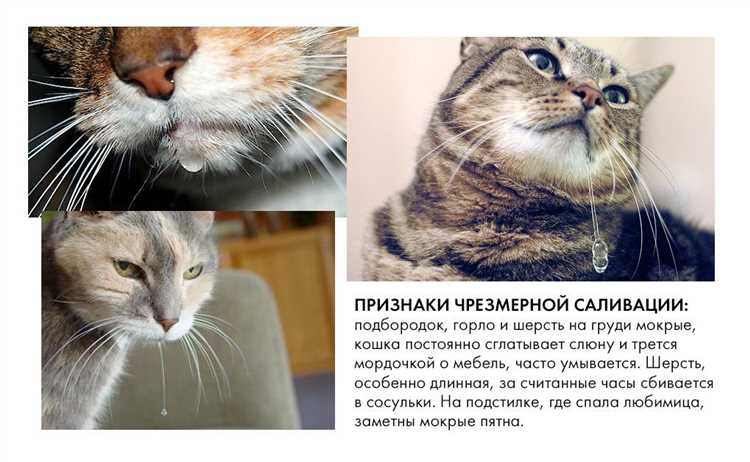 Что